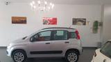 Fiat Panda 0.9 TwinAir Turbo Natural Power Pop - Fiat Panda Cabrio Gebrauchtwagen