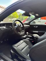 Ford Mustang Ford 5.0 Bullitt/RECARO - Ford Mustang in Mannheim