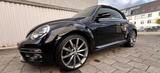 Volkswagen Beetle 2.0 TDI BMT ALLSTAR Cabriolet ALLSTAR - Volkswagen Beetle: TDI