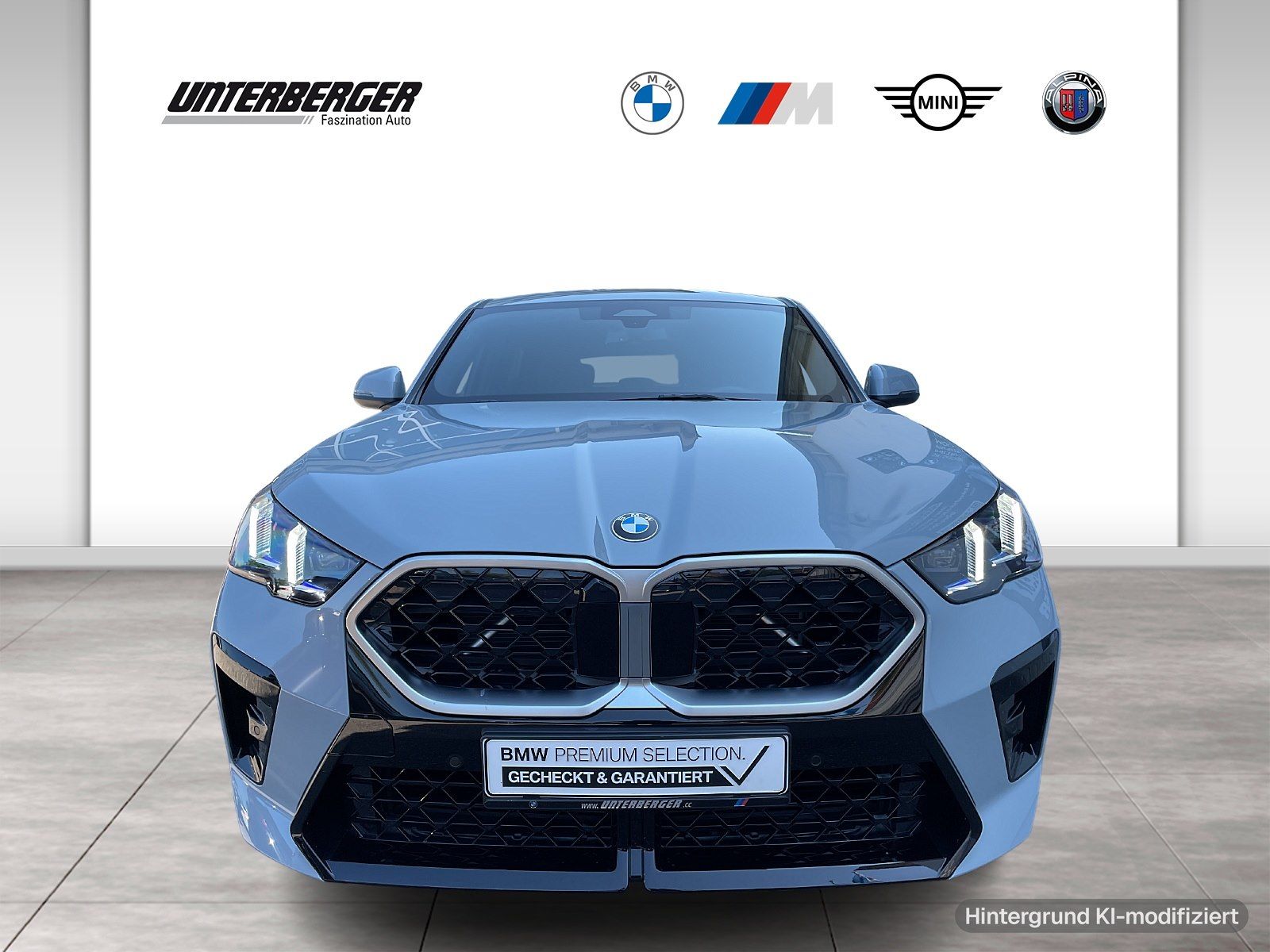 BMW X2 xDrive20d M Sportpaket-Harman Kardon HiFi-Ada foto 2