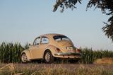 Volkswagen VW Käfer 1969  - Autos aus dem Jahr 1969