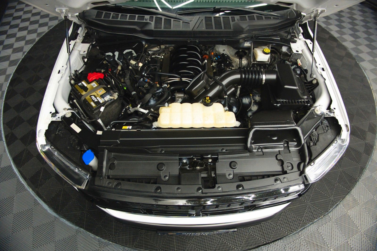 Fahrzeugabbildung Ford F150 5.0L V8 4x4 Offroad SuperCrew RAPTOR 19%