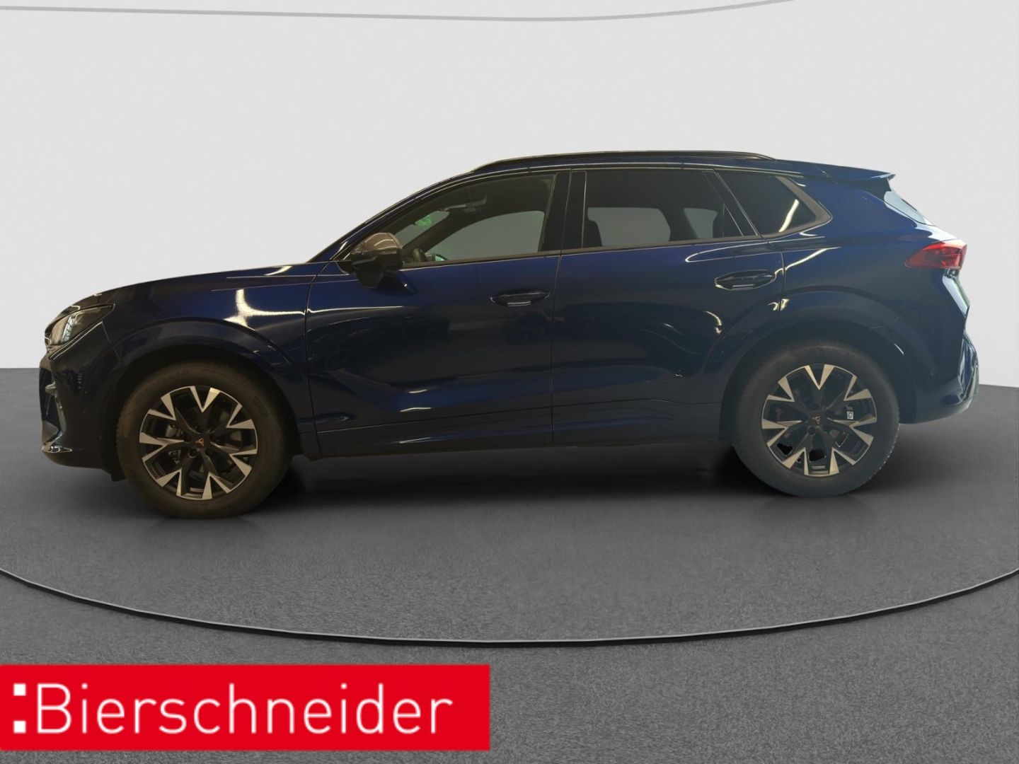 Cupra Terramar - Bild 4