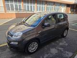 Fiat FIAT - Panda - 1.2 EasyPower Easy - Fiat Panda mit LPG-Antrieb