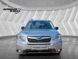 Subaru Forester Active 1.Hand AHK Sitzheizung MFL - Subaru in Frankfurt (Main)
