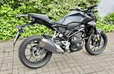 Honda CB 300 R neuwertig - HONDA CB300R