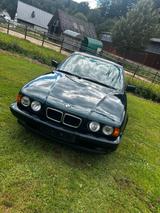 BMW E34 520i Liebhaber - gebrauchte BMW 5er Reihe aus dem Jahr 1994