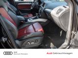 Audi SQ5 3.0TDI quattro XENON NAVI ACC - Audi SQ5 mit Diesel-Antrieb: Allradantrieb, Automatik