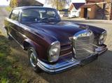 Mercedes-Benz 250 SEb Coupé (Hochkühler), Bj. 1966 - Mercedes-Benz Gebrauchtwagen von 1966