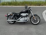Harley-Davidson Sportster 883L Super Low  - HARLEY-DAVIDSON SPORTSTER 883 LOW
