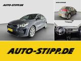 Kia Rio 1.2 Vision SPURH TEMP SITZH DAB BLUET PDC - Kia Rio in Bielefeld