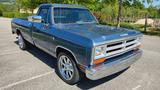 Dodge D100 Pickup Dodge RAM US - Dodge Oldtimer: Pickup