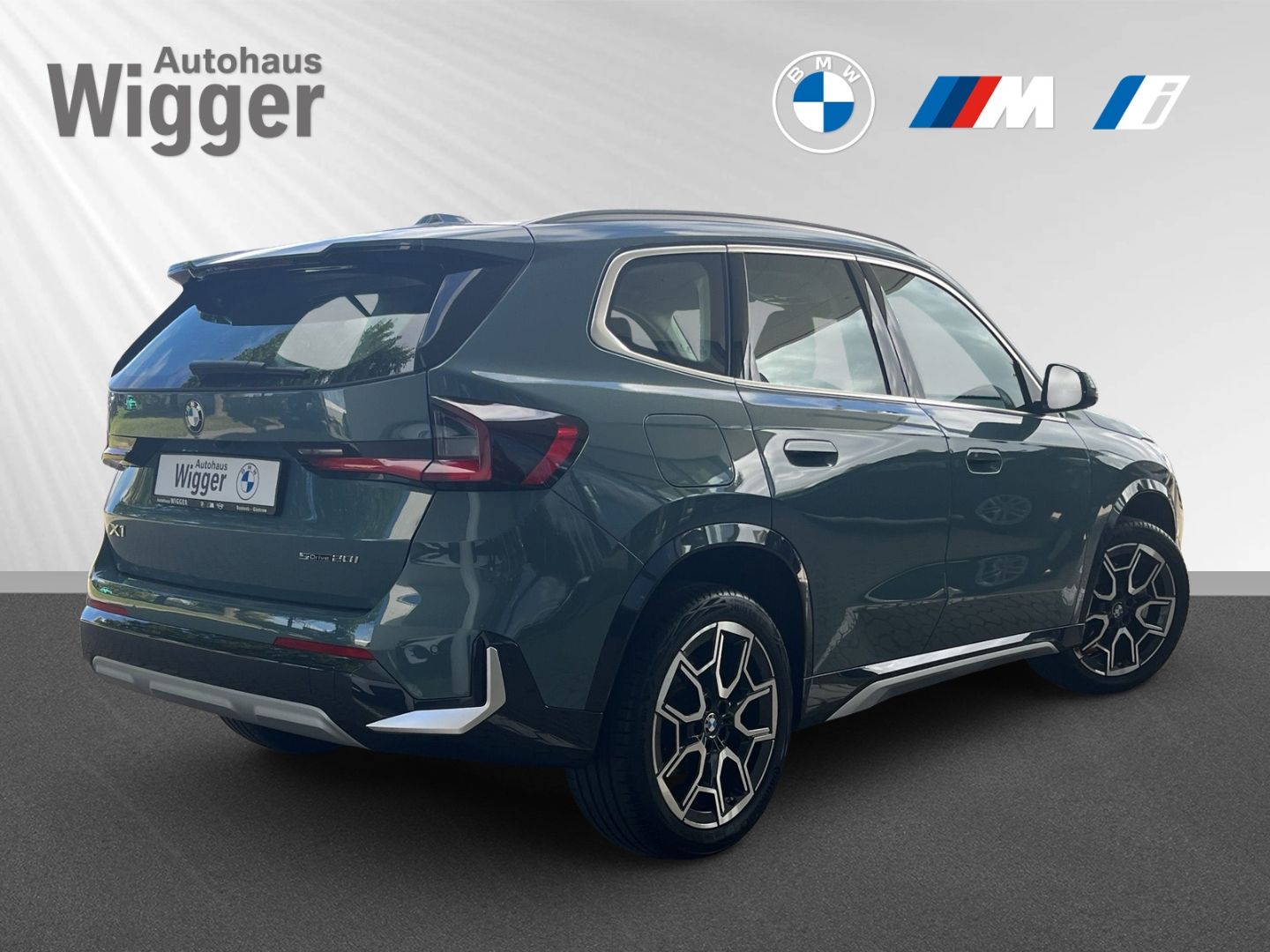 BMW X1 sDrive 20i xLine HUD Navigation HarmanKardon foto 3