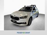 Skoda Fabia Tour 1.0TSI*DSG*WinterPaket*GRA*SmartLink* - Skoda Fabia aus 2025