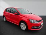 Volkswagen Polo 1.2 TSI (BMT) DSG Comfortline PDC Klima WR - Volkswagen Polo: Rot