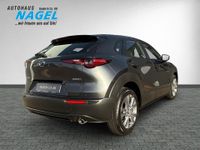 Mazda CX-30 - Vorschau Bild 6