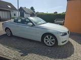 BMW 325i Cabrio - - BMW 325 aus 2009: 325i