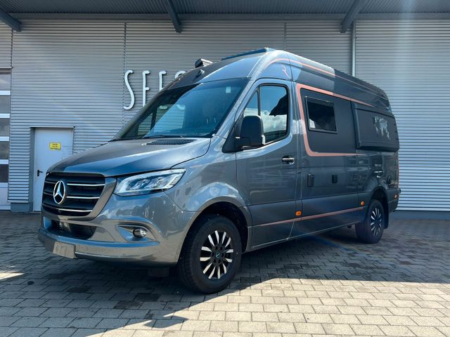 Robeta Adonis Sprinter Mercedes