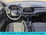 Skoda Fabia 130 Jahre 1.0 TSI 85 kW / 116 PS 7-DSG - Skoda Fabia Tageszulassungen