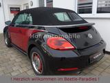 Volkswagen Beetle 1.2TSI RETRO Xenon Circle-Alu 17" Navi - VW Beetle Gebrauchtwagen in Frankfurt