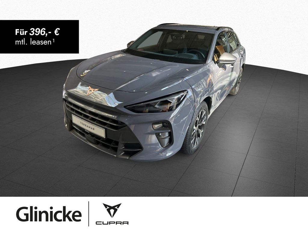 Terramar 1.5 eTSI 110 kW DSG AHK