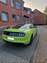 Ford EU Mustang GT 5.0 V8 - 55 Years Edition - Ford Mustang: Edition