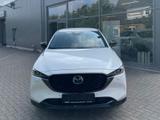 Mazda CX-5 5WGN 2.5L e-SKYACTIV G 194ps 6AT FWD HOMURA - Mazda CX-5 Gebrauchtwagen