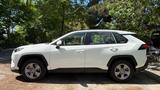 Toyota RAV 4 2.5 Hybrid Business Edition Auto Busin... - gebrauchte Toyota RAV 4 aus dem Jahr 2024