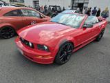 Ford Mustang GT 4.6 V8 Cabrio aus 2005 mit... - Ford Mustang aus 2005: V6