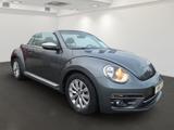 Volkswagen Beetle Cabriolet DESIGN 1.2TSI NAVI+2xPDC+SITZHZ - gebrauchte VW Beetle aus dem Jahr 2018