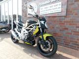 Suzuki SFV650 GLADIUS, ABS - SUZUKI GLADIUS 650