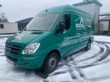 Mercedes-Benz Sprinter Kasten 313  (unverwüstlich)  - Angebote