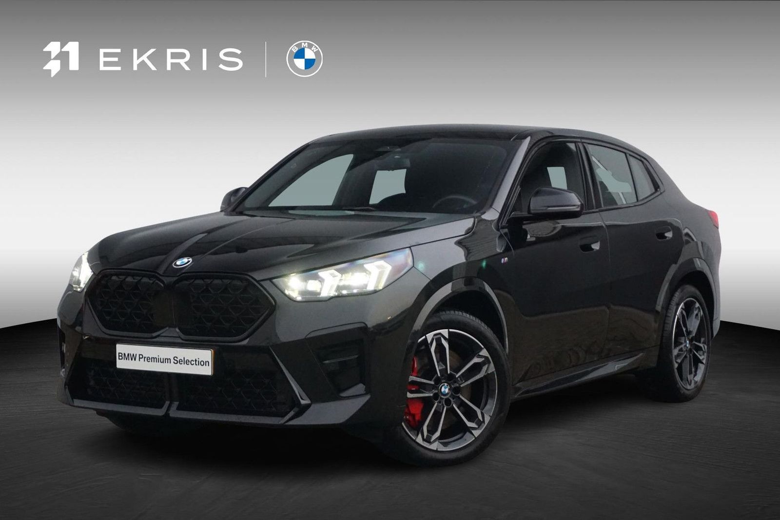 BMW X2 sDrive18d M Sportpaket Pro 19'' / Harman Kard