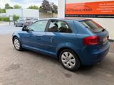 Audi A3 1.9 TDI e Attraction 1.9 TDI - Audi A3: 1.9