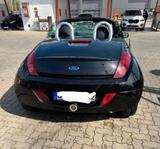 Ford Streetka 1.6 - Tüv 03/2028 - Ford Streetka: Cabrio