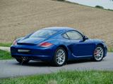 Porsche Cayman S, wenig Km, Approved -3/26 - Porsche Cayman aus 2011