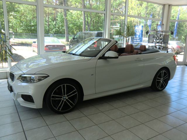 BMW 225 d M Sport, Leder braun, Navi