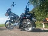 Harley-Davidson Softail FXSTC Custom  - HARLEY-DAVIDSON FXST