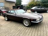Jaguar XJSC - Jaguar XJSC: Cabrio
