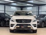 Mercedes-Benz ML 350 CDI BlueTec AMG*AHK*SITZ*AIR - Mercedes-Benz ML 350 in Frankfurt (Main)
