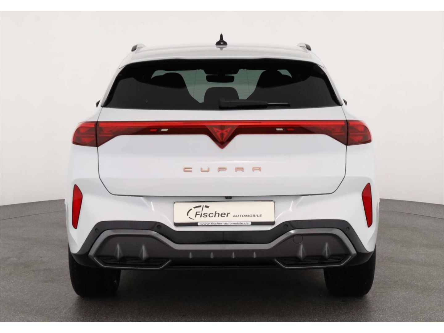 Cupra Terramar - Bild 6