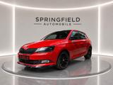 Skoda Fabia Monte Carlo PANO ZV SHZ PDC eFH KLIMA - Skoda Fabia Gebrauchtwagen in München