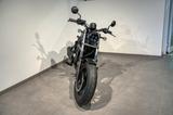 Honda CMX 500 Rebel *Neufahrzeug* - HONDA REBEL CMX