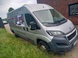 Peugeot peugeot boxer - gebrauchte Peugeot Boxer aus dem Jahr 2014