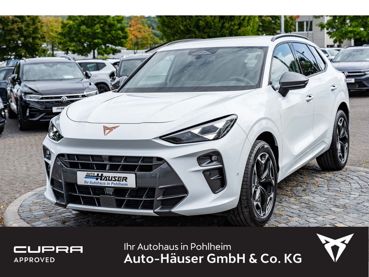 Cupra Terramar 1.5 eTSI DSG AHK DCC HD-MATRIX-LED EL. 
