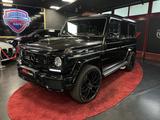 Mercedes-Benz G 63 G 63 AMG Edition 463 TV HARMAN K PTS - Mercedes-Benz 463