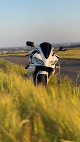 Yamaha YZF-R125 Competition White | Arrow & Zubehör - YAMAHA WEIß R1