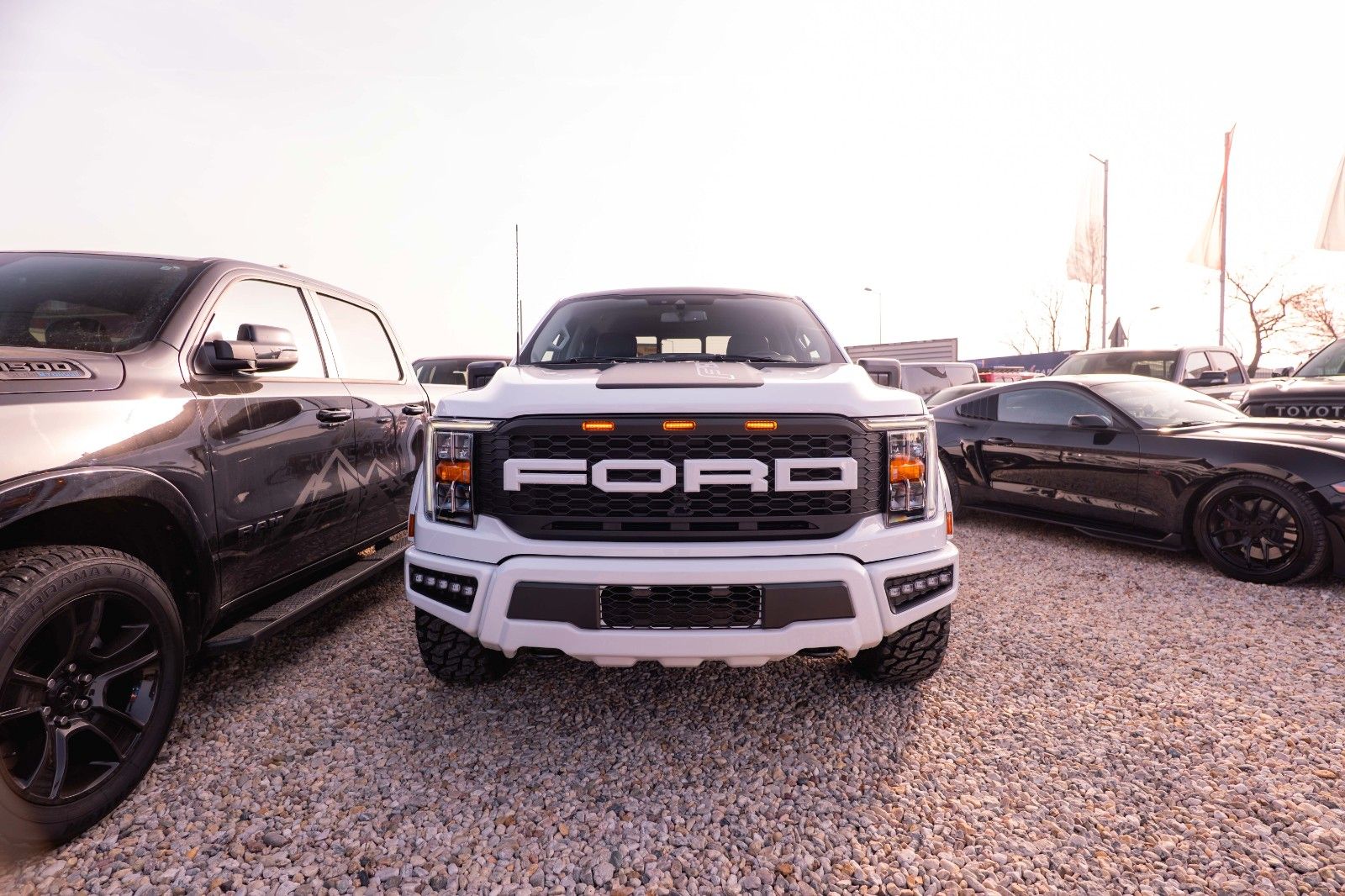 Fahrzeugabbildung Ford F150 5.0L V8 4x4 Offroad SuperCrew RAPTOR 19%