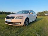 Skoda Octavia Greenline 1.6 TDI | AHK | 8x Alureifen 