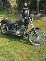 Harley-Davidson Softail Standart Twin Cam